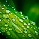 Les étonnantes propriétés de l’eau : pourquoi elle est considérée comme un solvant universel