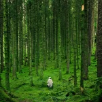 Les mots de la nature : comment l’environnement façonne notre vocabulaire