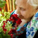 Pourquoi certaines personnes ont-elles un odorat beaucoup plus développé que d’autres ?