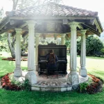 Les effets curieux de la musique sur les performances en jardinage