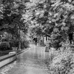 L’odeur de la pluie : une danse moléculaire