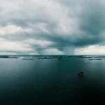 Combien de formes différentes de vie pourraient exister sur une planète similaire à la Terre ?