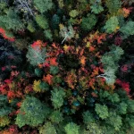 Les défis des saisons : comment la nature s’adapte aux changements climatiques