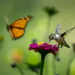Les records de vitesse de déplacement des insectes et leur impact sur l’écosystème